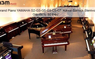 Đàn Piano Grand 
